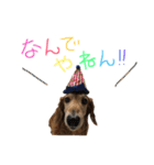 Lai すたんぷ☺︎（個別スタンプ：24）