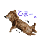 Lai すたんぷ☺︎（個別スタンプ：25）