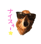 Lai すたんぷ☺︎（個別スタンプ：28）