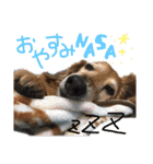 Lai すたんぷ☺︎（個別スタンプ：34）