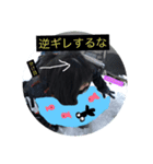 皆んなのヒーローりつ！（個別スタンプ：5）