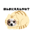 かれおんちゃんねる（個別スタンプ：39）