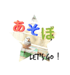 ビセイインコのぷーちゃんスタンプ（個別スタンプ：4）