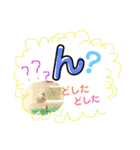 ビセイインコのぷーちゃんスタンプ（個別スタンプ：6）