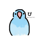 ビセイインコのぷーちゃんスタンプ（個別スタンプ：21）