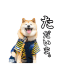 柴犬ペコと仲間たち（個別スタンプ：33）