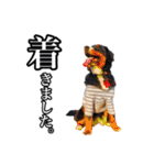 柴犬ペコと仲間たち（個別スタンプ：39）