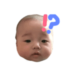 ぽんぽんきち（個別スタンプ：1）