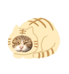 オリちゃま＆みーとら（個別スタンプ：7）