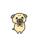 さこけん2（個別スタンプ：5）