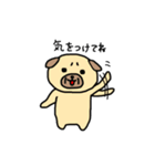 さこけん2（個別スタンプ：13）