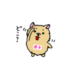 さこけん2（個別スタンプ：18）