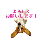 レモンビーグル  ゴン太のスタンプ（個別スタンプ：10）