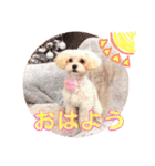 あめちゃん日和（個別スタンプ：3）