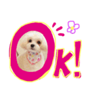 あめちゃん日和（個別スタンプ：5）