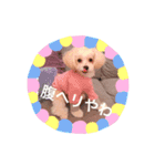 あめちゃん日和（個別スタンプ：10）