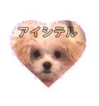 あめちゃん日和（個別スタンプ：13）