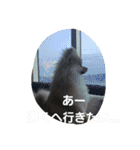 ころん日和#2（個別スタンプ：8）