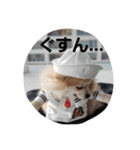 ころん日和#2（個別スタンプ：26）