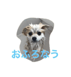 ころん日和#2（個別スタンプ：32）