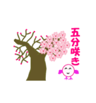 春の桜とお花見スタンプ（個別スタンプ：11）