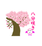 春の桜とお花見スタンプ（個別スタンプ：13）