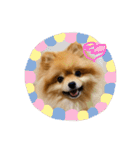 ルークのにくきゅう（個別スタンプ：1）