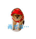 ルークのにくきゅう（個別スタンプ：9）