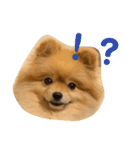 ルークのにくきゅう（個別スタンプ：20）