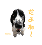 みんな仲良しインギーズだよ全員集合 vol.3（個別スタンプ：1）
