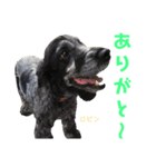 みんな仲良しインギーズだよ全員集合 vol.3（個別スタンプ：8）