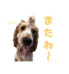 みんな仲良しインギーズだよ全員集合 vol.3（個別スタンプ：9）