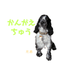 みんな仲良しインギーズだよ全員集合 vol.3（個別スタンプ：10）