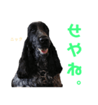 みんな仲良しインギーズだよ全員集合 vol.3（個別スタンプ：12）