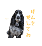 みんな仲良しインギーズだよ全員集合 vol.3（個別スタンプ：13）