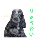 みんな仲良しインギーズだよ全員集合 vol.3（個別スタンプ：16）