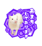 フェレットのぶぶ（個別スタンプ：11）