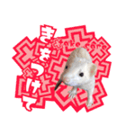 フェレットのぶぶ（個別スタンプ：19）