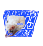 フェレットのぶぶ（個別スタンプ：28）