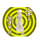 フェレットのぶぶ（個別スタンプ：32）