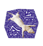フェレットのぶぶ（個別スタンプ：38）