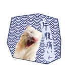 フェレットのぶぶ（個別スタンプ：40）