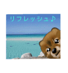 ポメ太 日常会話（個別スタンプ：17）