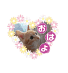 茶トラ子猫ルナの使える日常会話③（個別スタンプ：3）