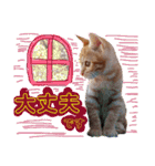 茶トラ子猫ルナの使える日常会話③（個別スタンプ：9）
