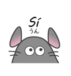 ¡ラテン チンチラ！（個別スタンプ：1）
