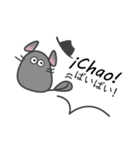 ¡ラテン チンチラ！（個別スタンプ：11）