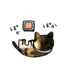 あいなうぶのねこたち（個別スタンプ：8）