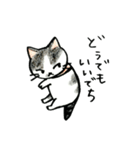あいなうぶのねこたち（個別スタンプ：13）
