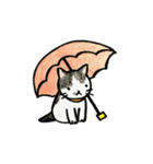 あいなうぶのねこたち（個別スタンプ：14）